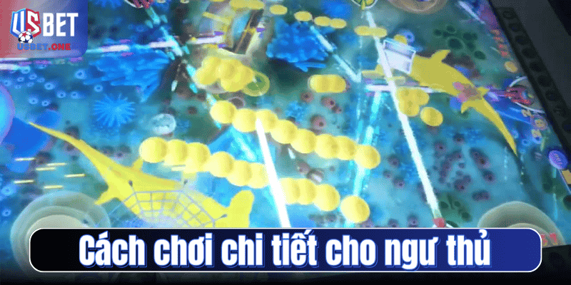 Cách chơi chi tiết cho ngư thủ